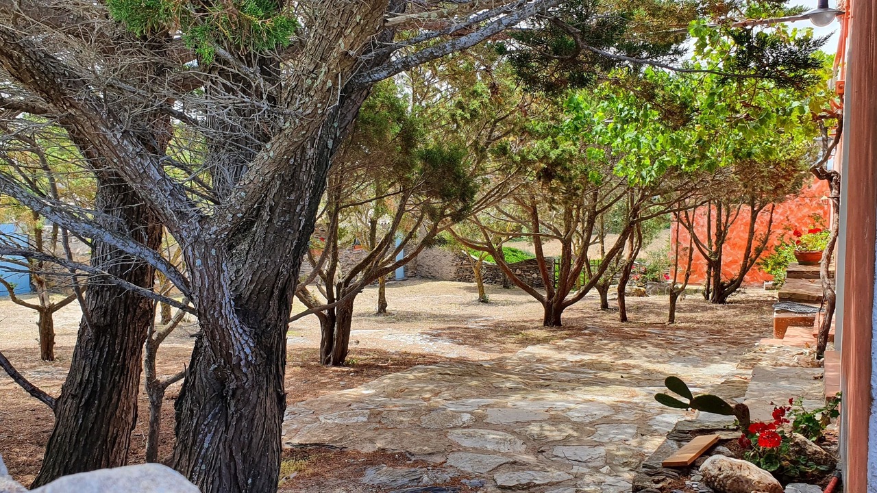 Photo of Outdoor in Sassari