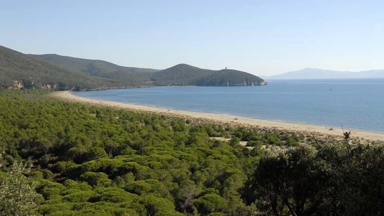 Photo of Others in Caldana