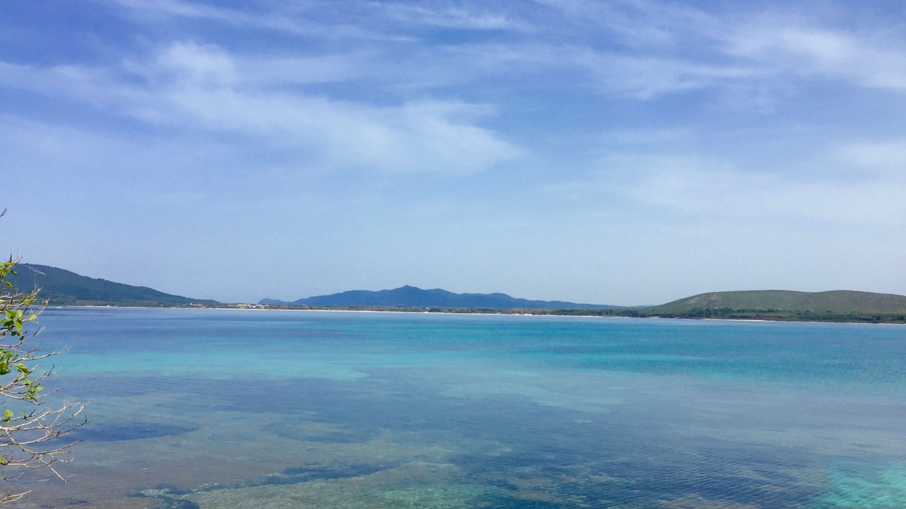 Photo of Others in Maristella