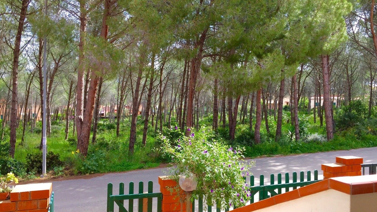 Photo of Outdoor in Maristella