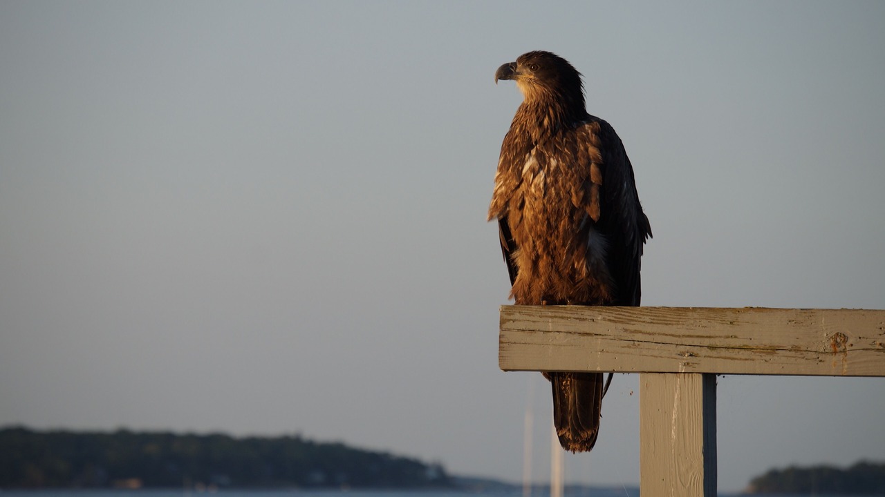 Photo of Others in Bayville