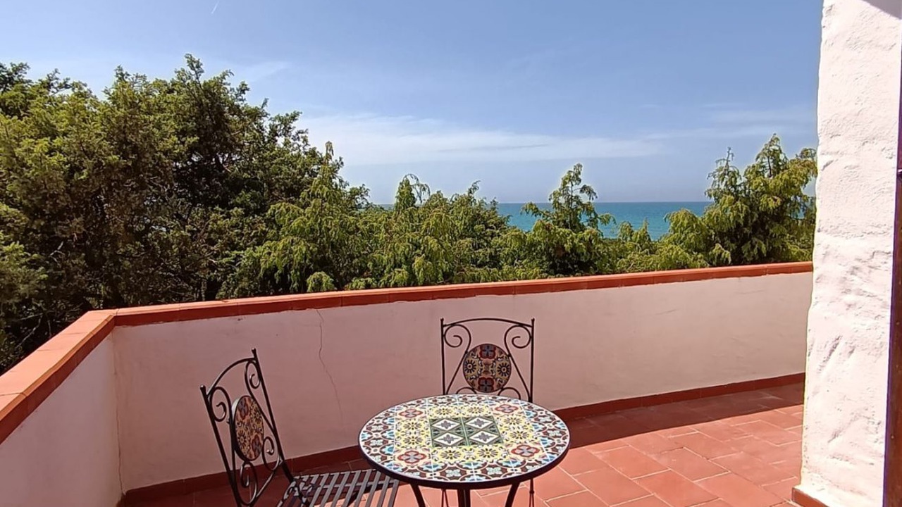 Photo of Outdoor in Eden Beach