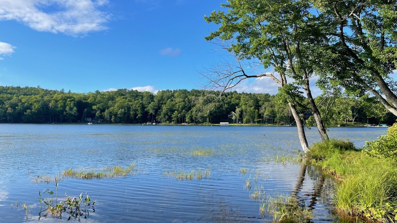 Photo of Outdoor in Sebec