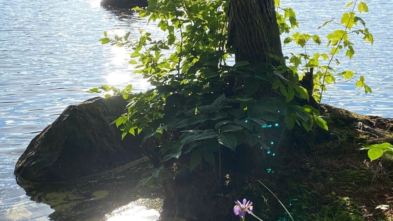 Photo of Outdoor in Bryant Pond