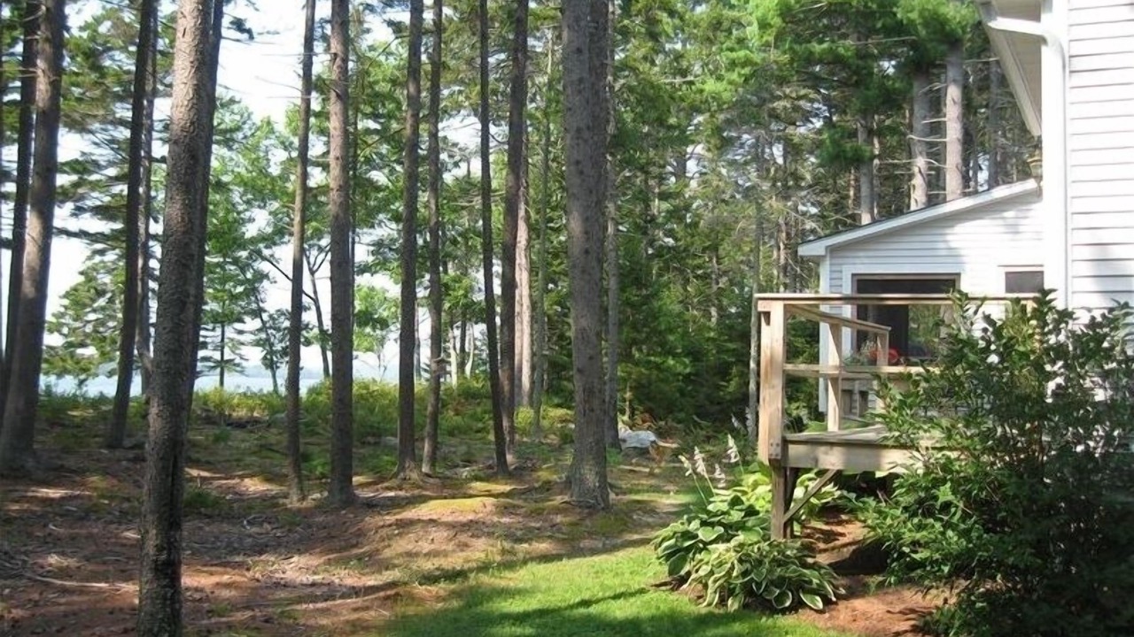 Photo of Outdoor in Waldoboro