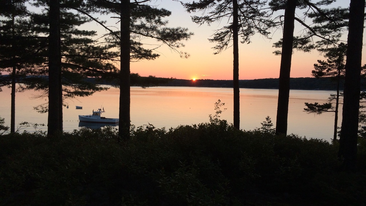 Photo of Others in Waldoboro