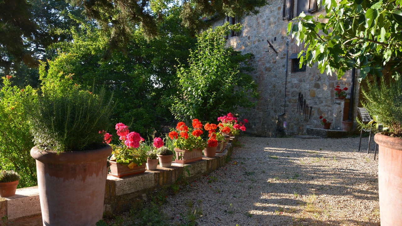Photo of Outdoor in Radicondoli