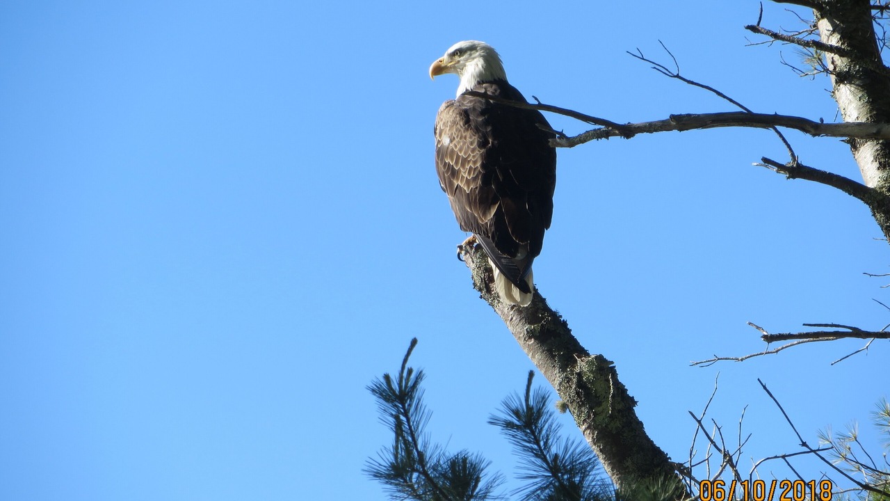 Photo of Others in Bayville