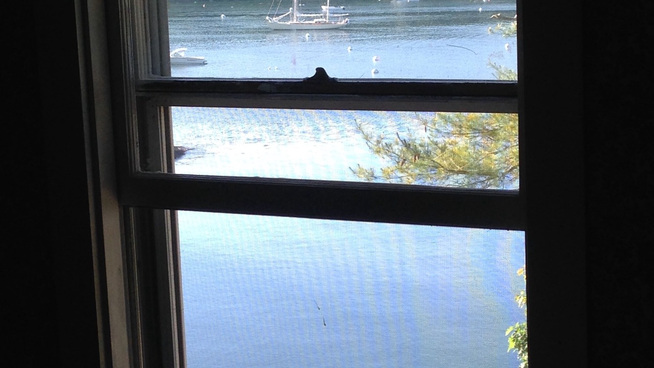 Photo of Others in Bayville