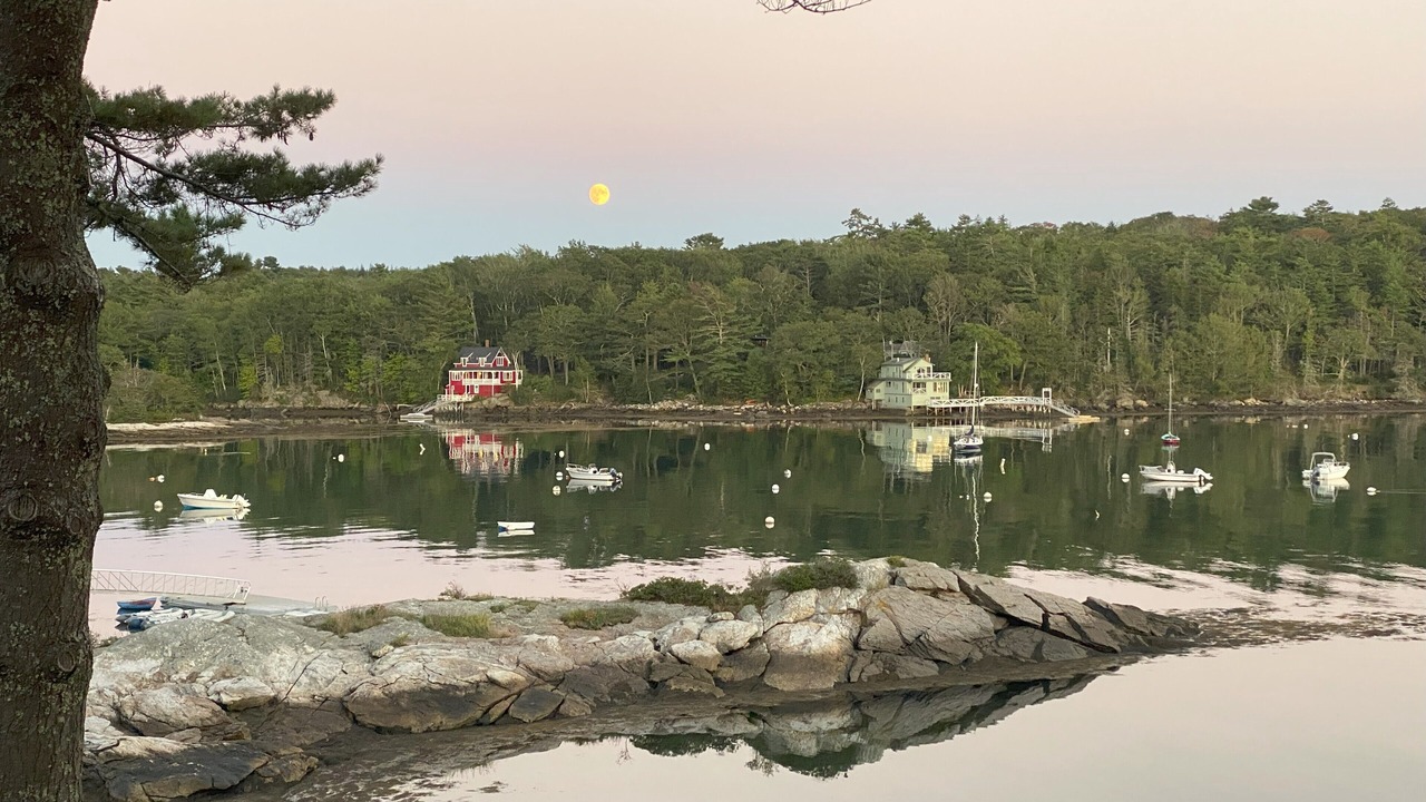 Photo of Others in Bayville