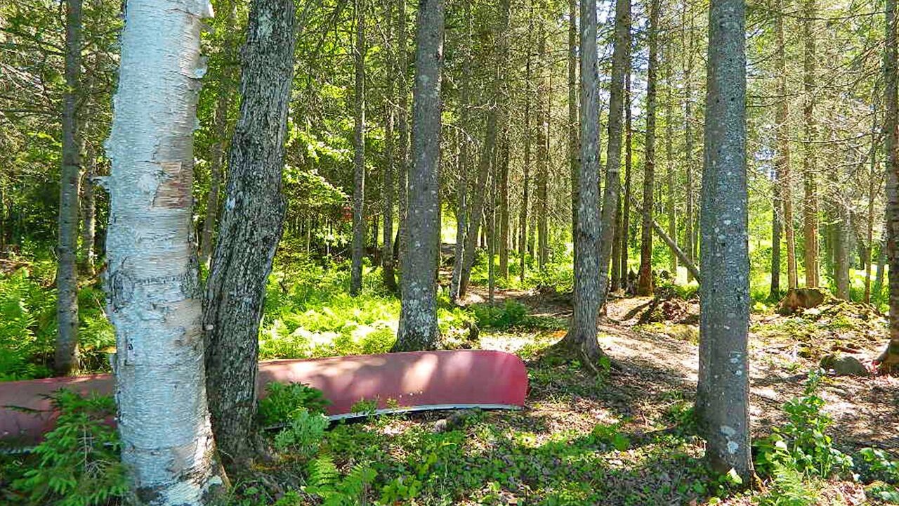Photo of Others in Rangeley