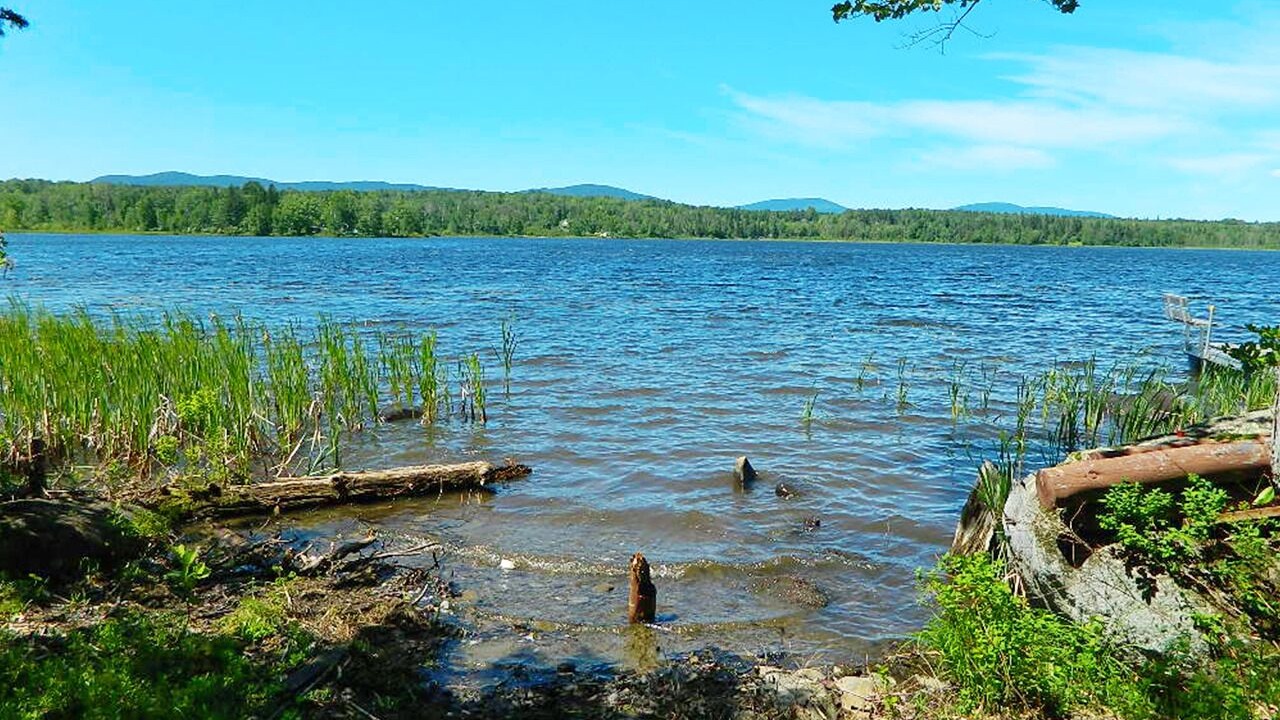 Photo of Others in Rangeley