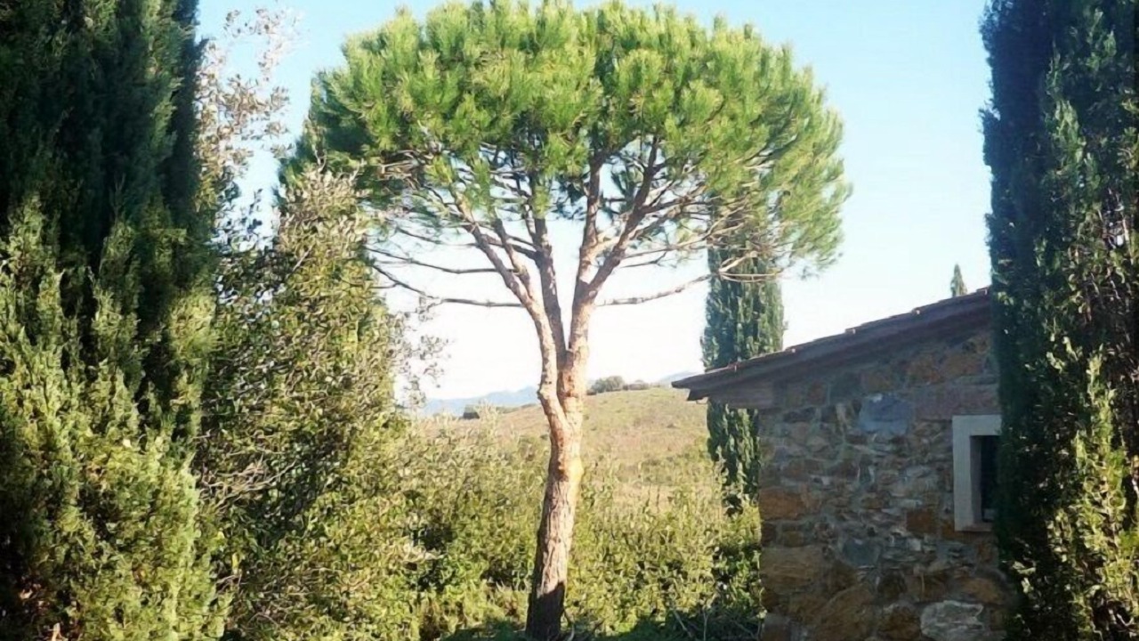 Photo of Outdoor in Gavorrano
