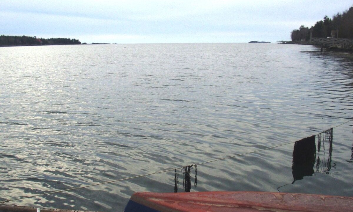 Photo of Others in Orrs Island