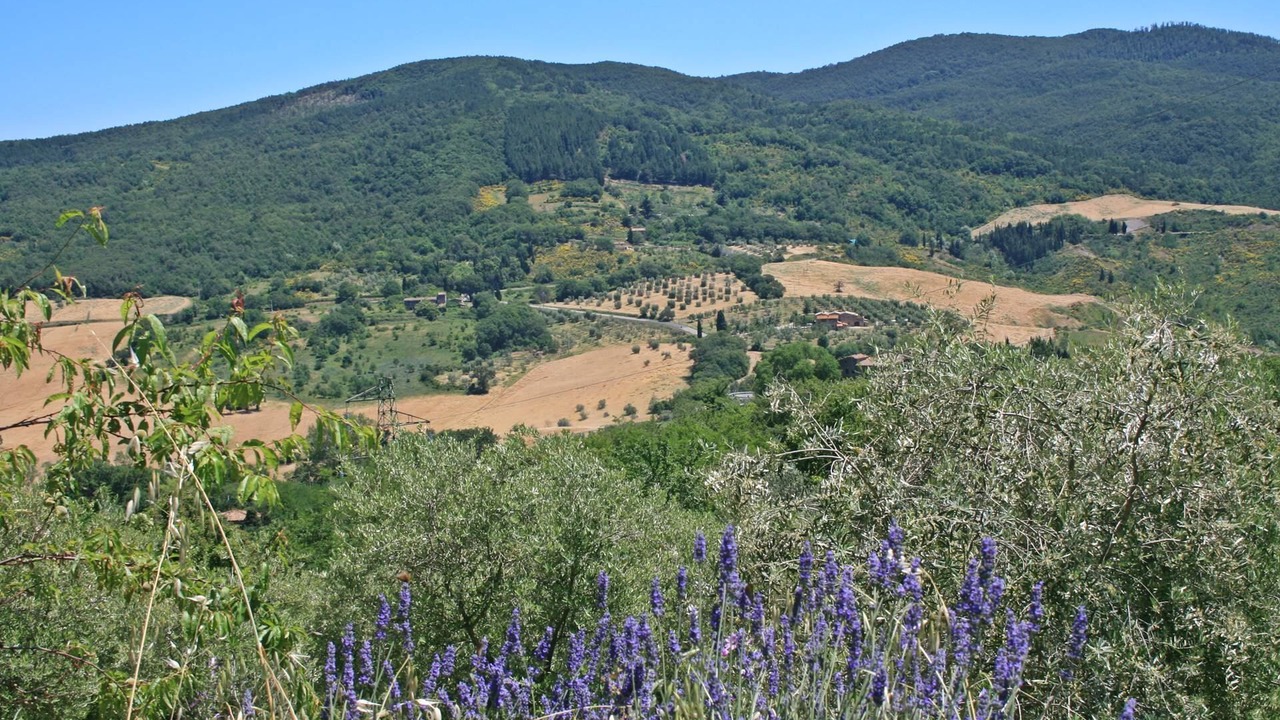 Photo of Others in Radicondoli