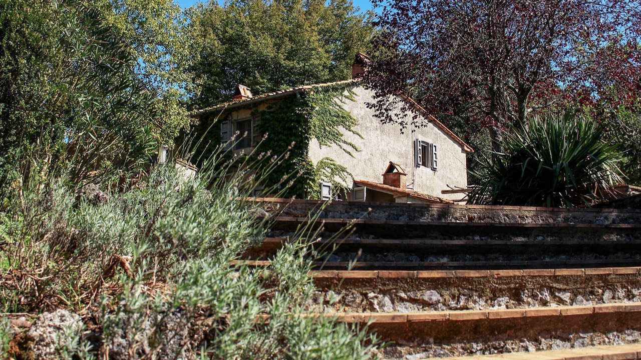 Photo of Outdoor in Montieri