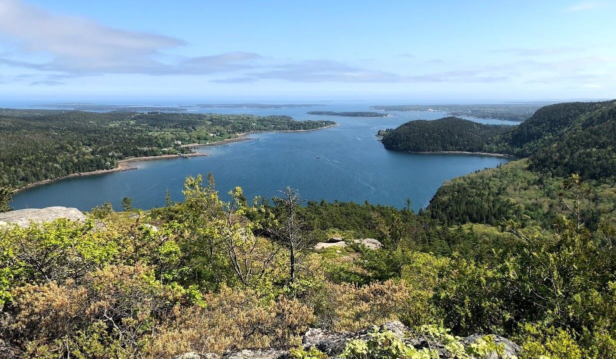 Photo of Others in Southwest Harbor