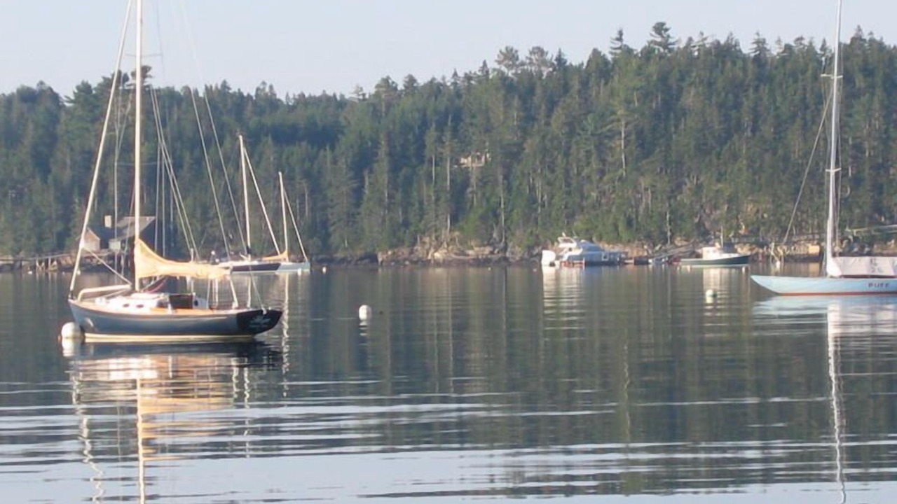 Photo of Others in Southwest Harbor