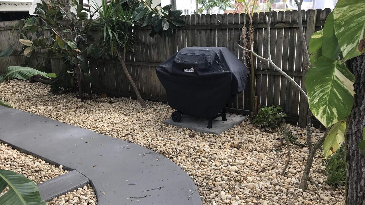 Photo of Others in Indian Rocks Beach