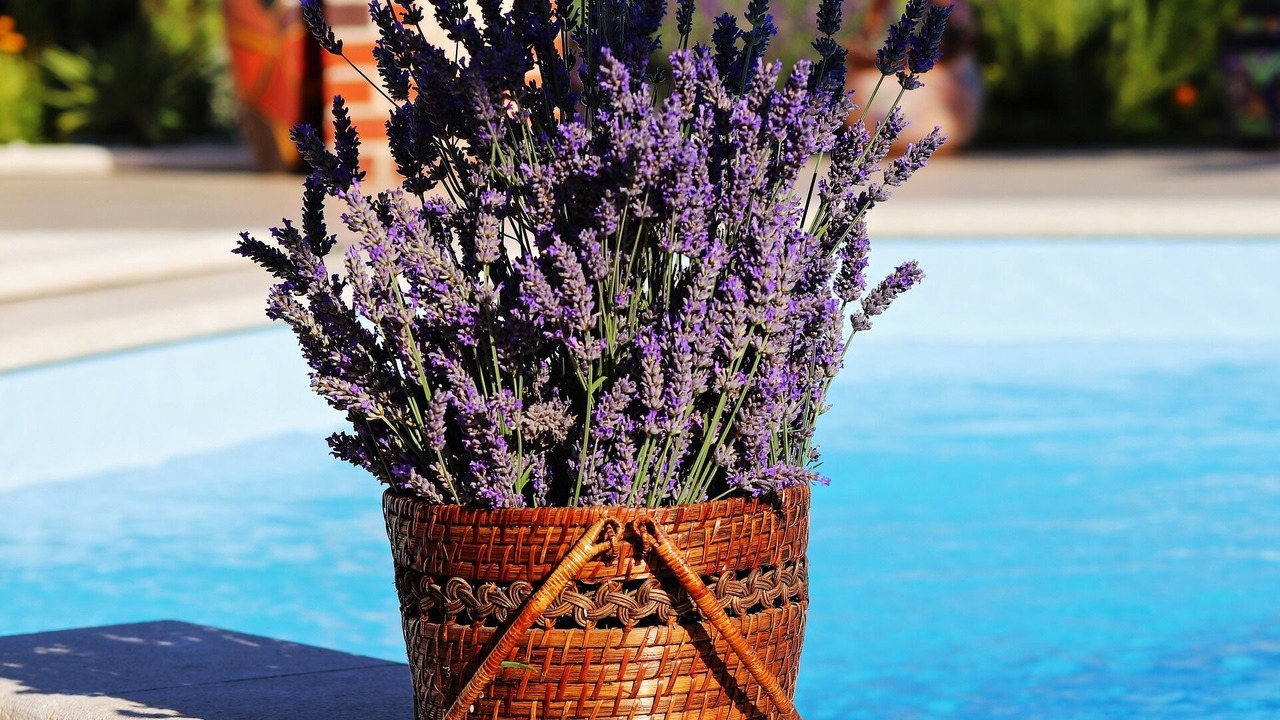 Photo of Outdoor in Alghero