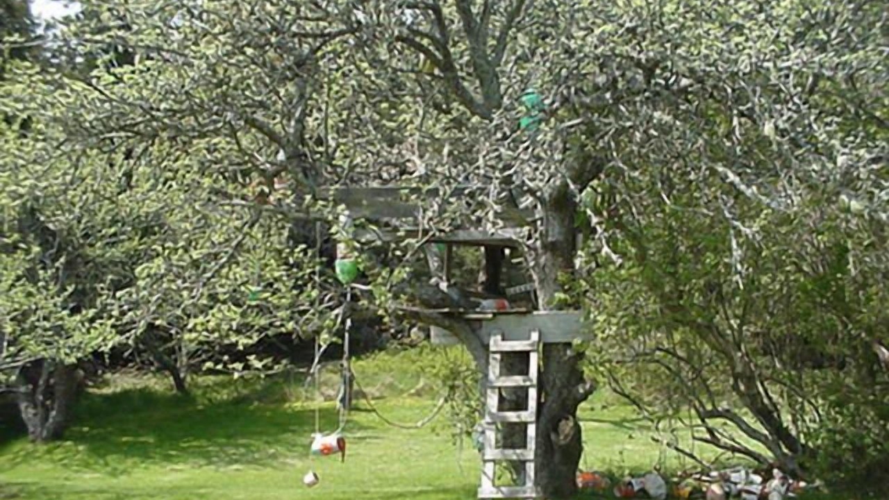Photo of Outdoor in Stonington