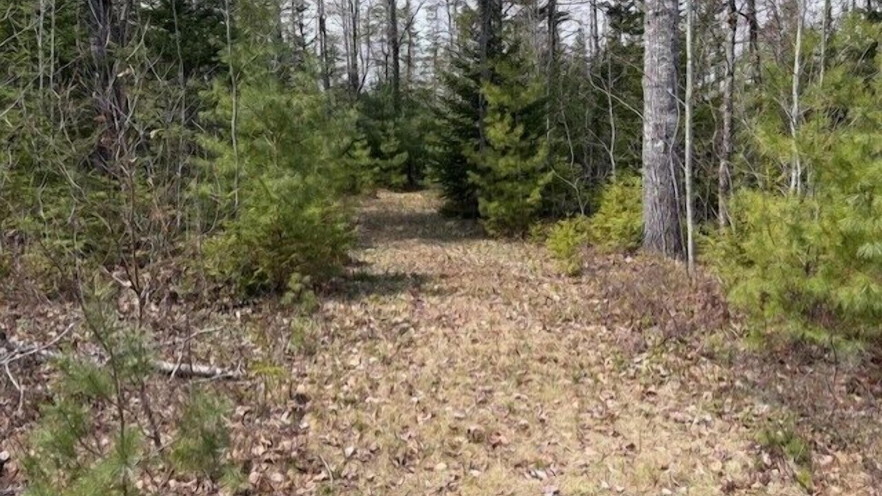 Photo of Others in Cherryfield