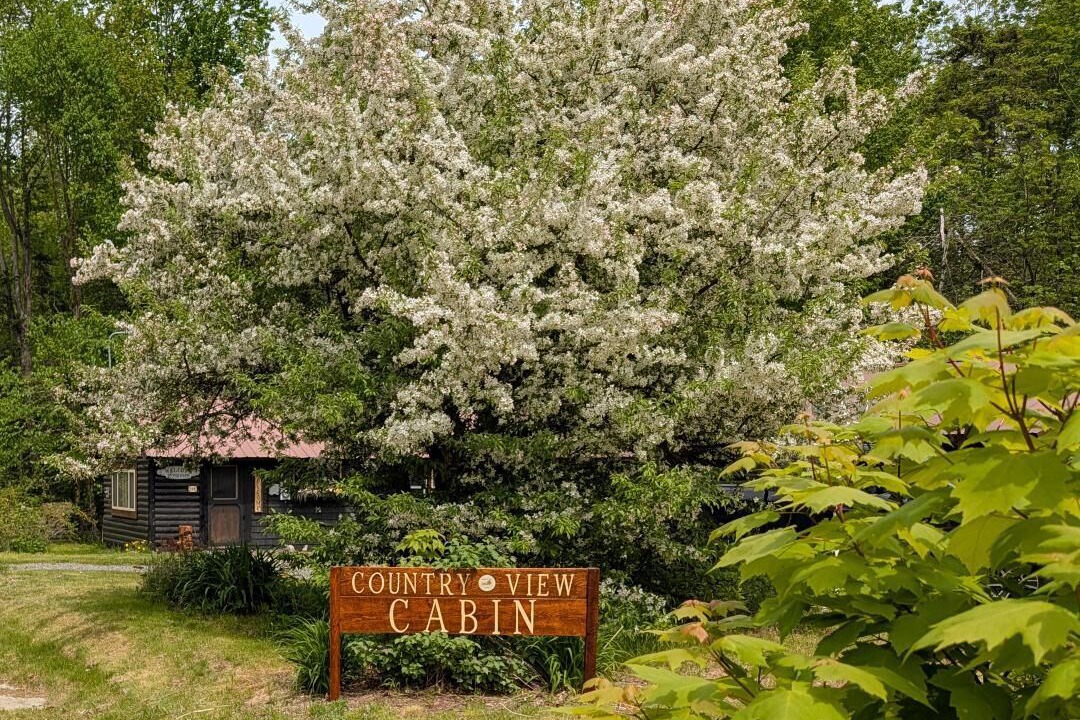 Photo of Outdoor in Brownville