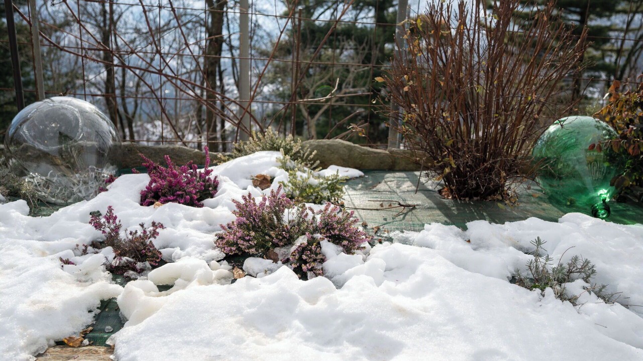 Photo of Outdoor in Pessinetto