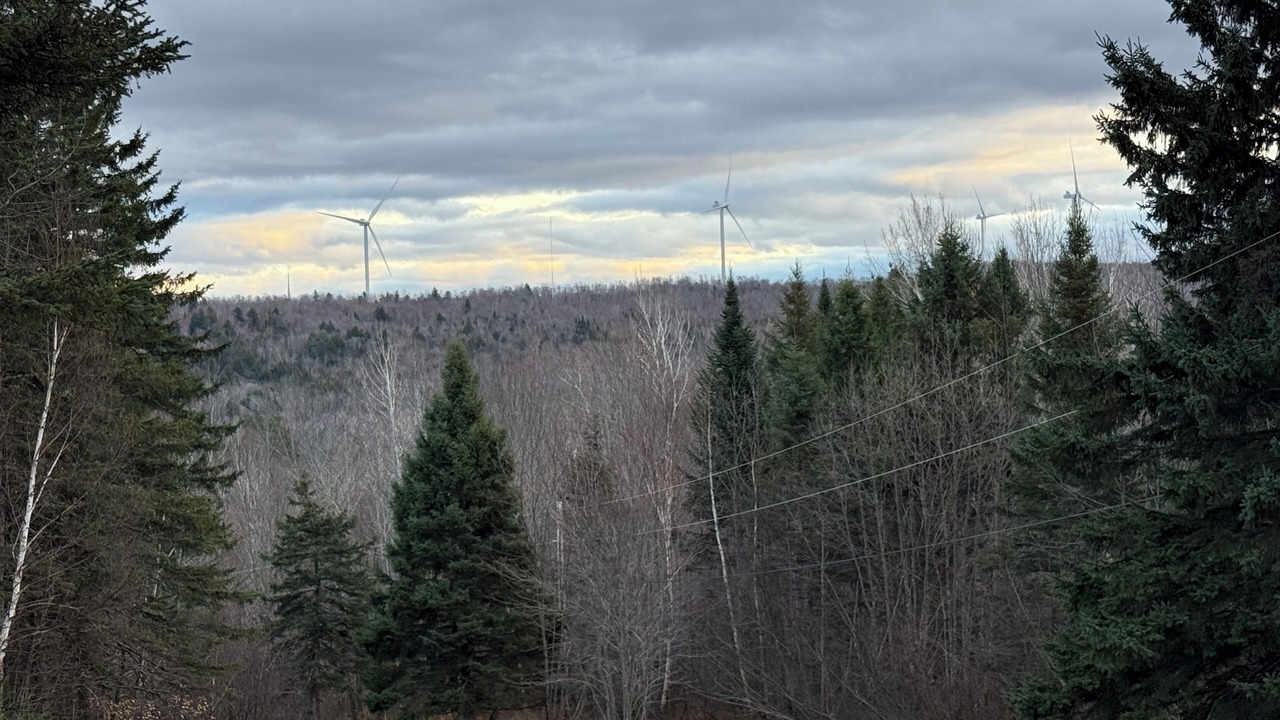 Photo of Others in Aroostook