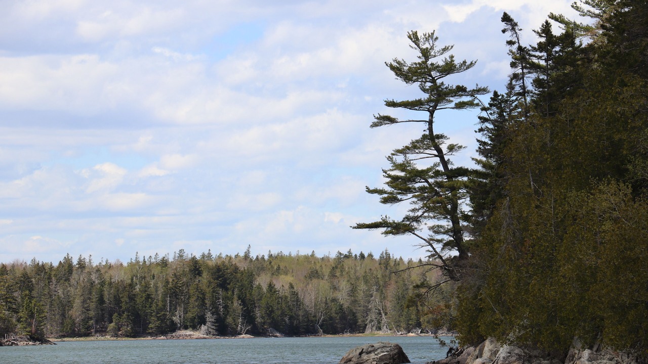 Photo of Others in Lubec