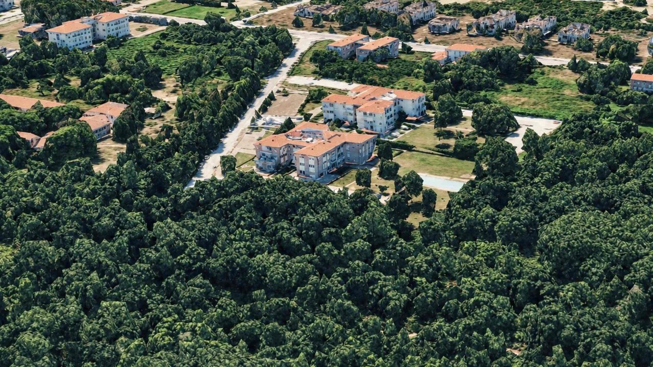 Photo of Outdoor in Calambrone