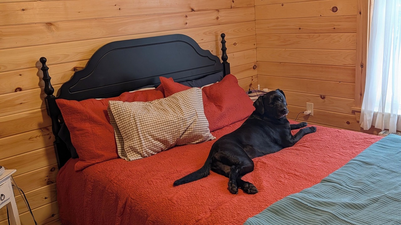 Photo of Bedroom in Lincoln