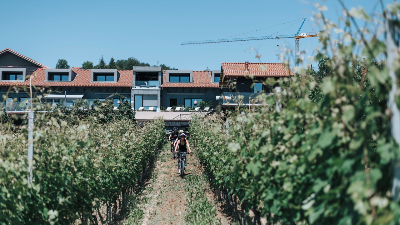 Photo of Others in Barolo