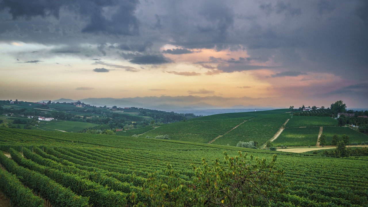 Photo of Others in Barolo