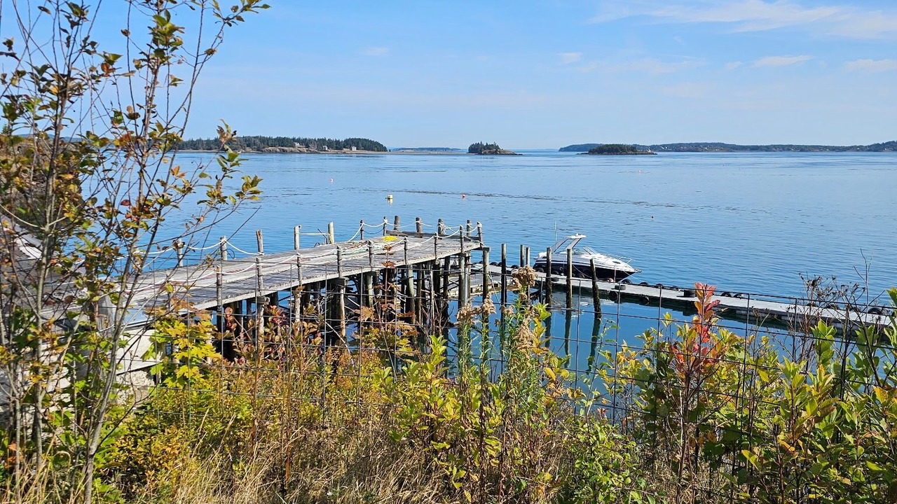 Photo of Others in Eastport