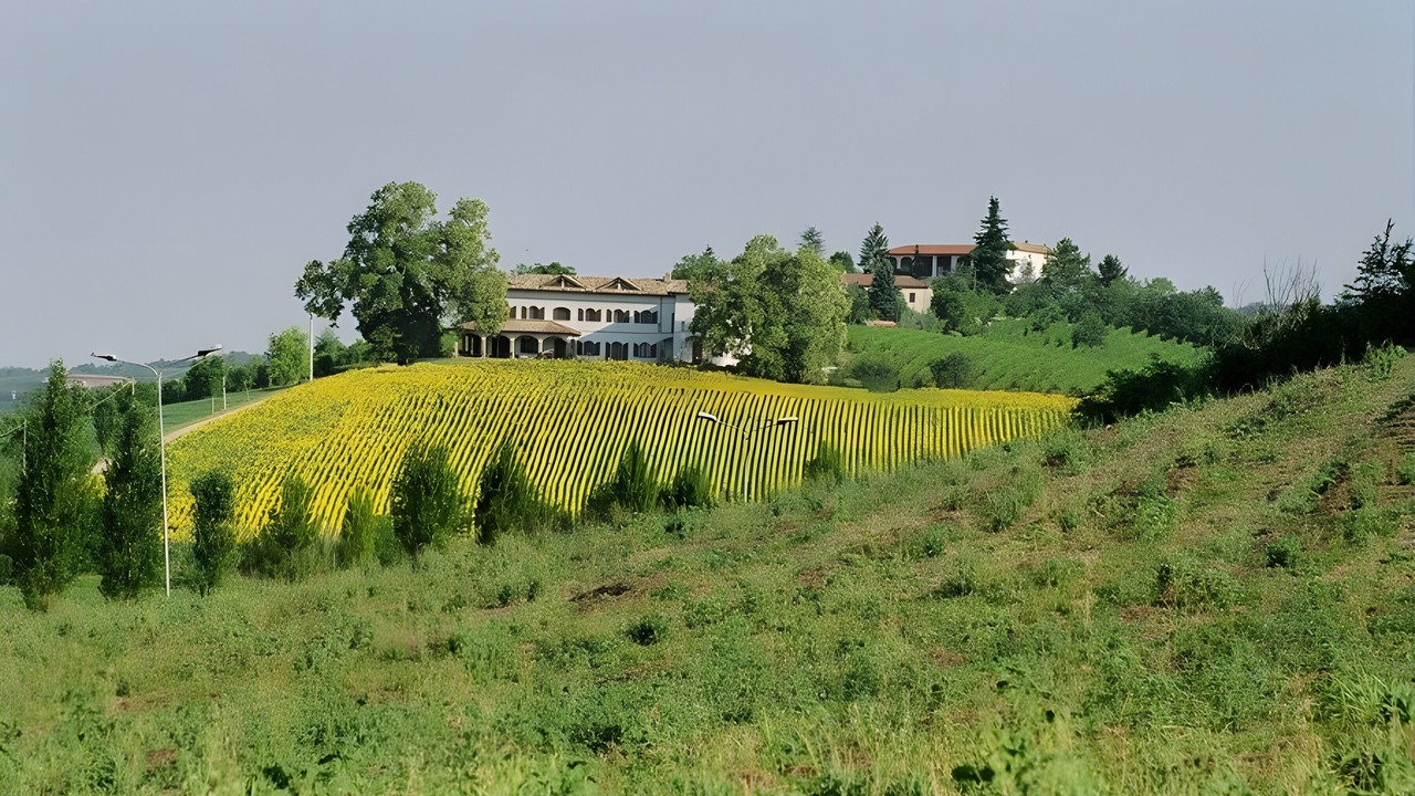 Photo of Others in Castelletto Merli