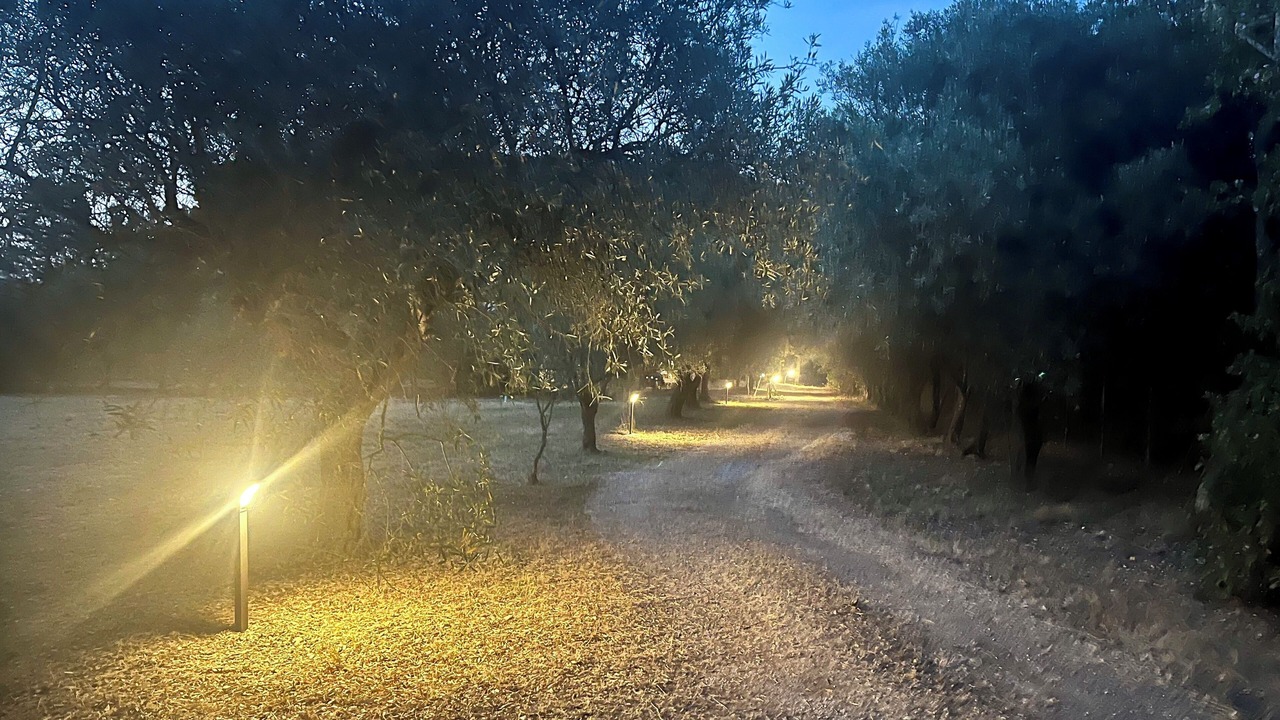 Photo of Others in Oristano