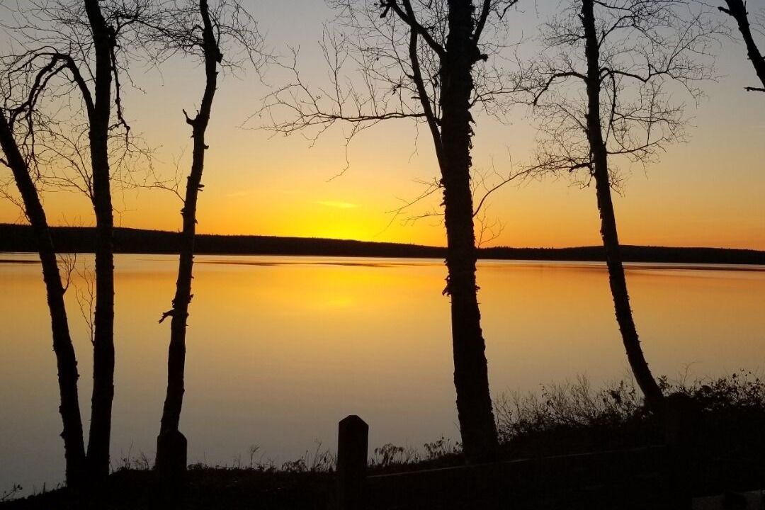 Photo of Others in Brownville