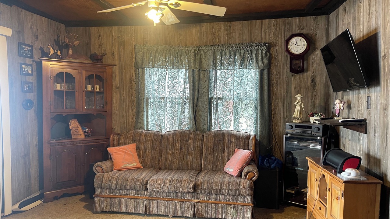 Photo of Livingroom in Brownville