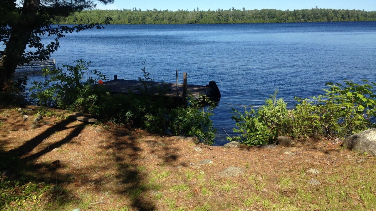 Photo of Others in Brownville