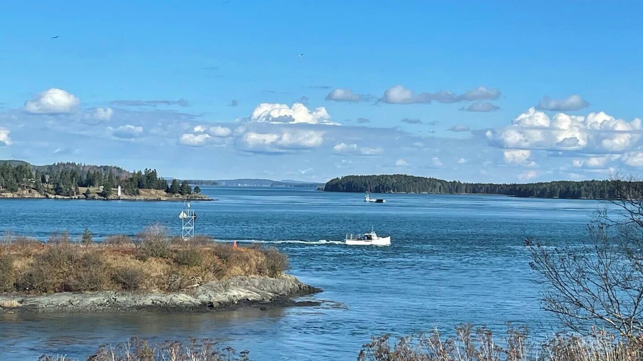 Photo of Others in Eastport
