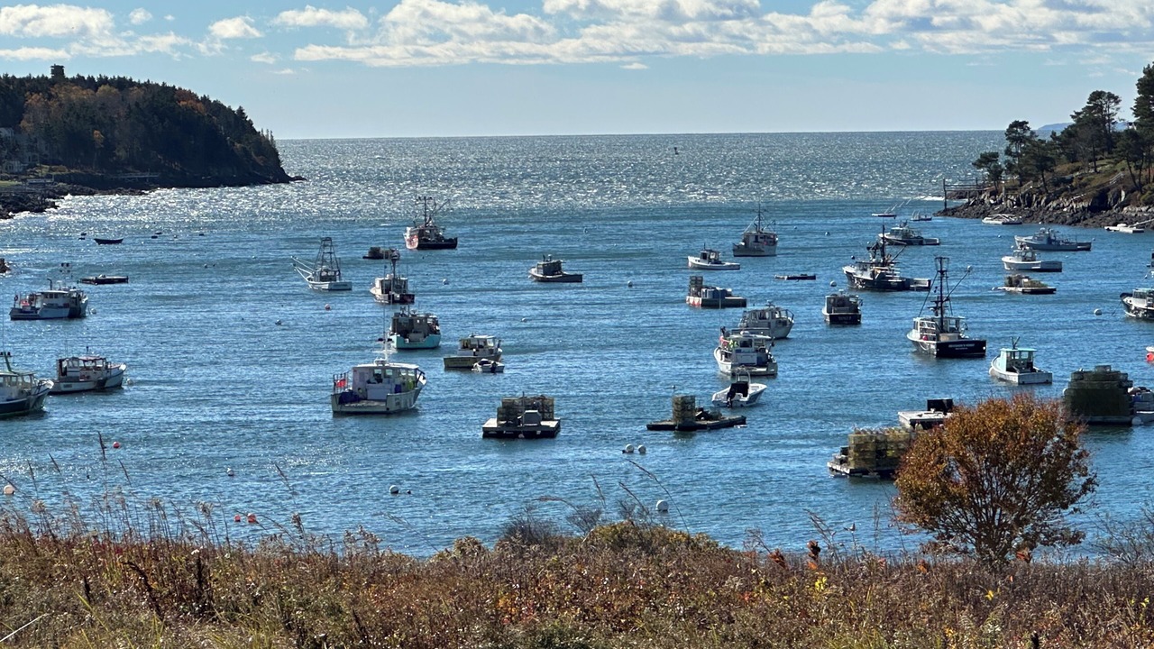 Photo of Others in Mid-Coast and Islands