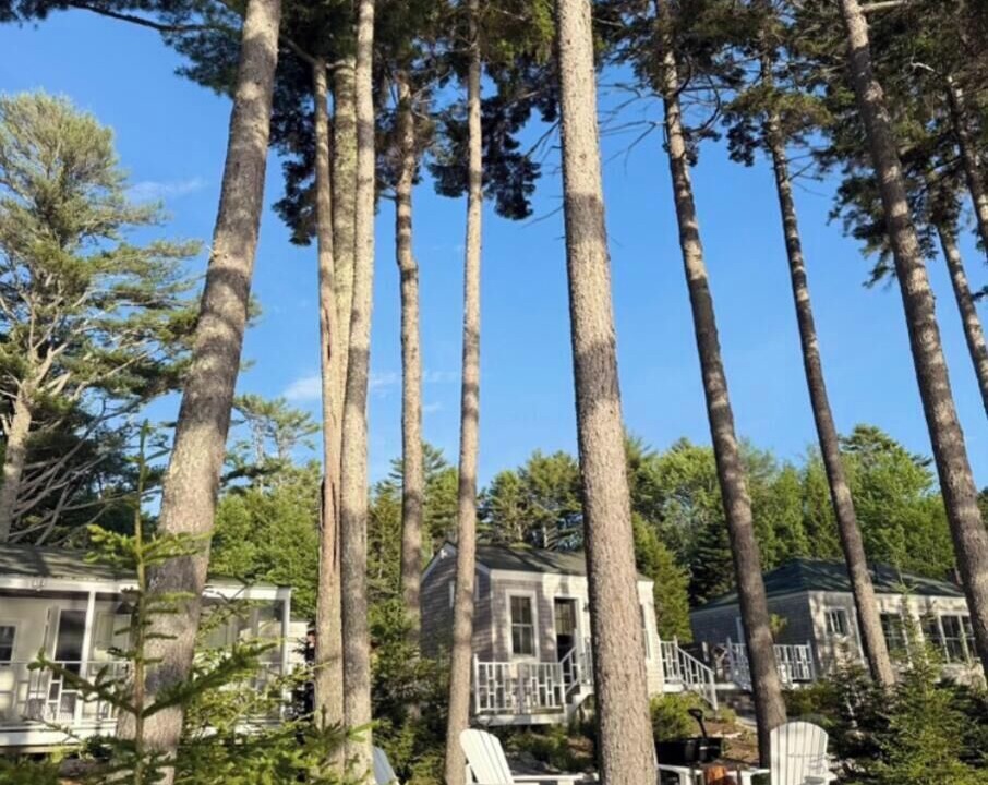 Photo of Outdoor in Friendship