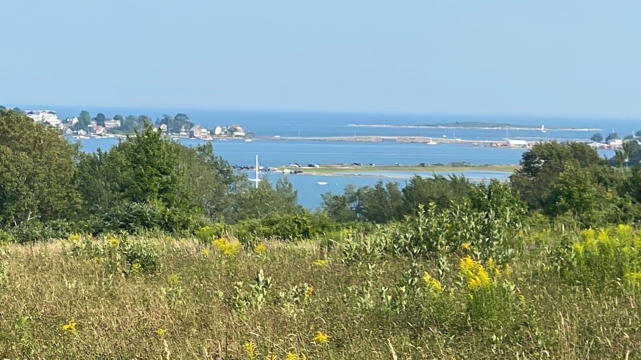 Photo of Others in Mid-Coast and Islands