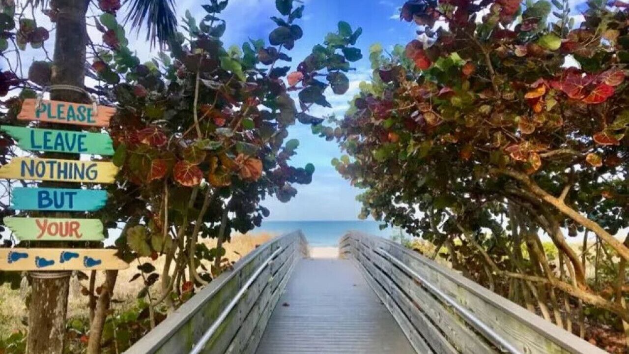 Photo of Others in Indian Rocks Beach