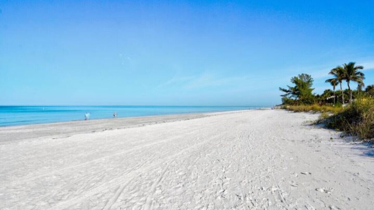 Photo of Others in Indian Rocks Beach
