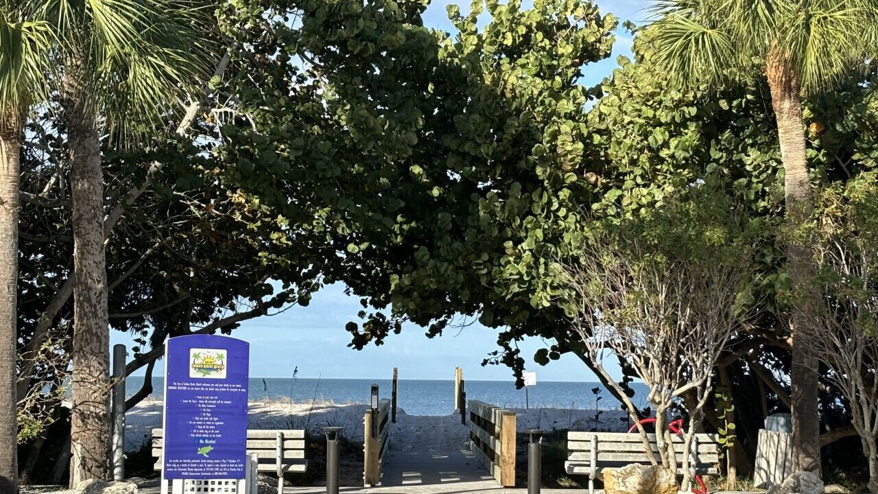 Photo of Others in Indian Rocks Beach