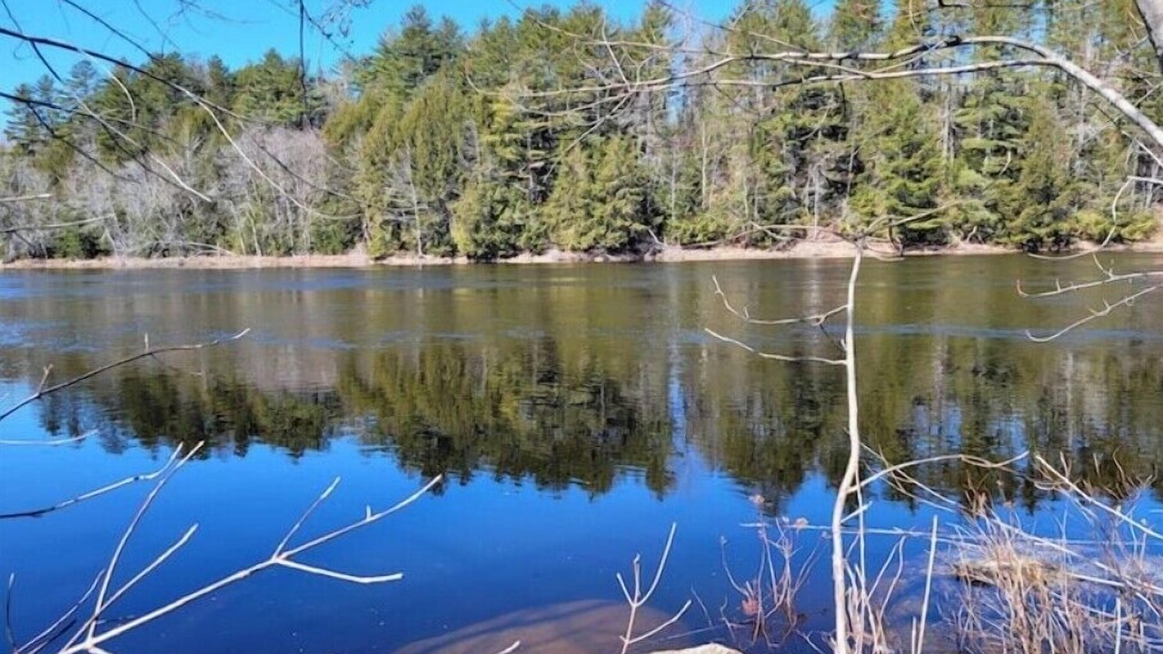 Photo of Outdoor in North Penobscot