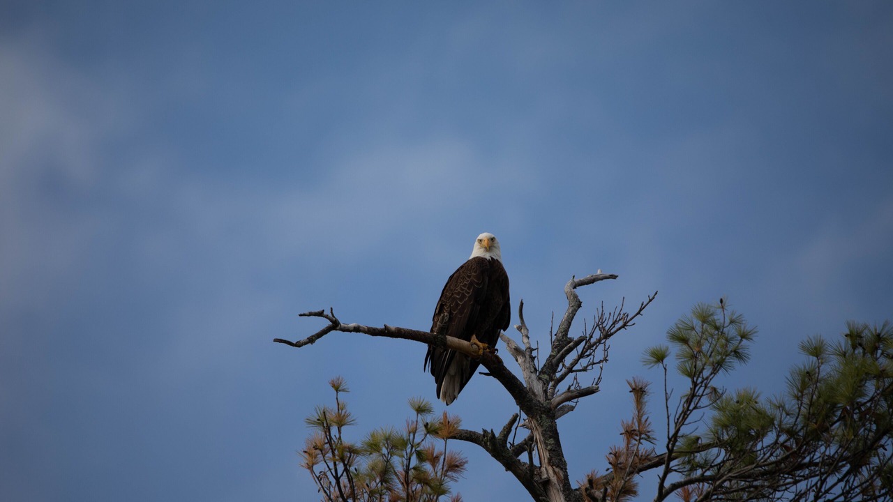 Photo of Others in Winthrop
