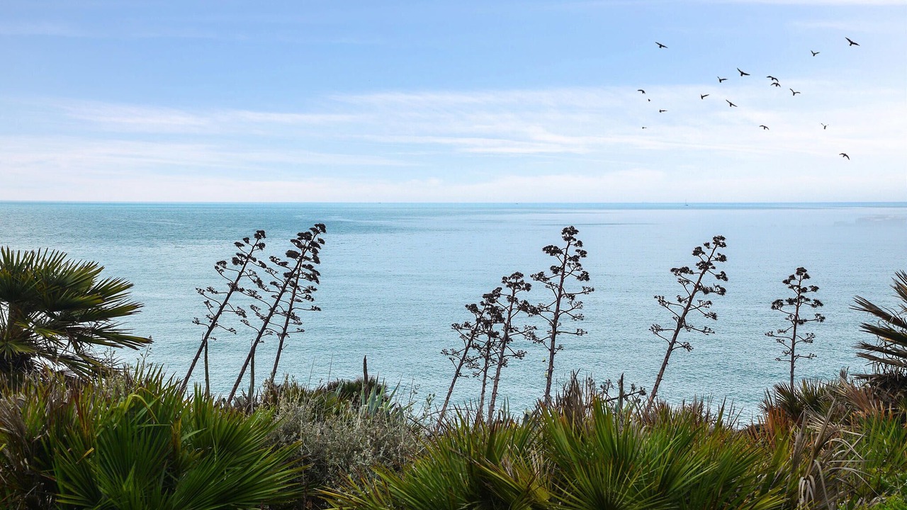 Photo of Others in Marina di Modica